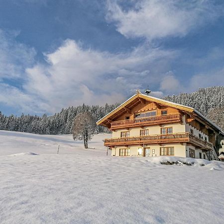 Apartmán Flicklhof Xl Hopfgarten im Brixental Exteriér fotografie