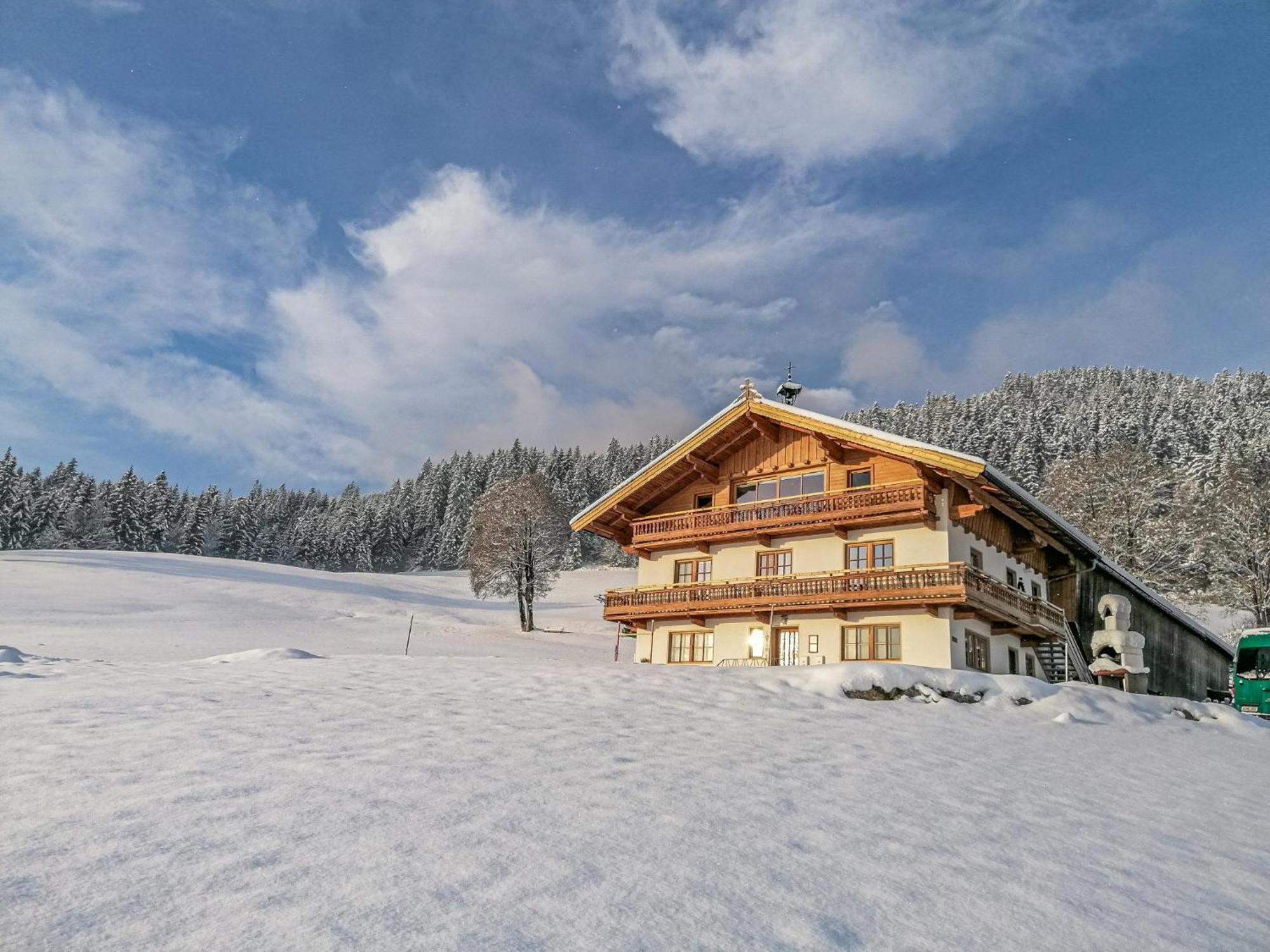 Apartmán Flicklhof Xl Hopfgarten im Brixental Exteriér fotografie
