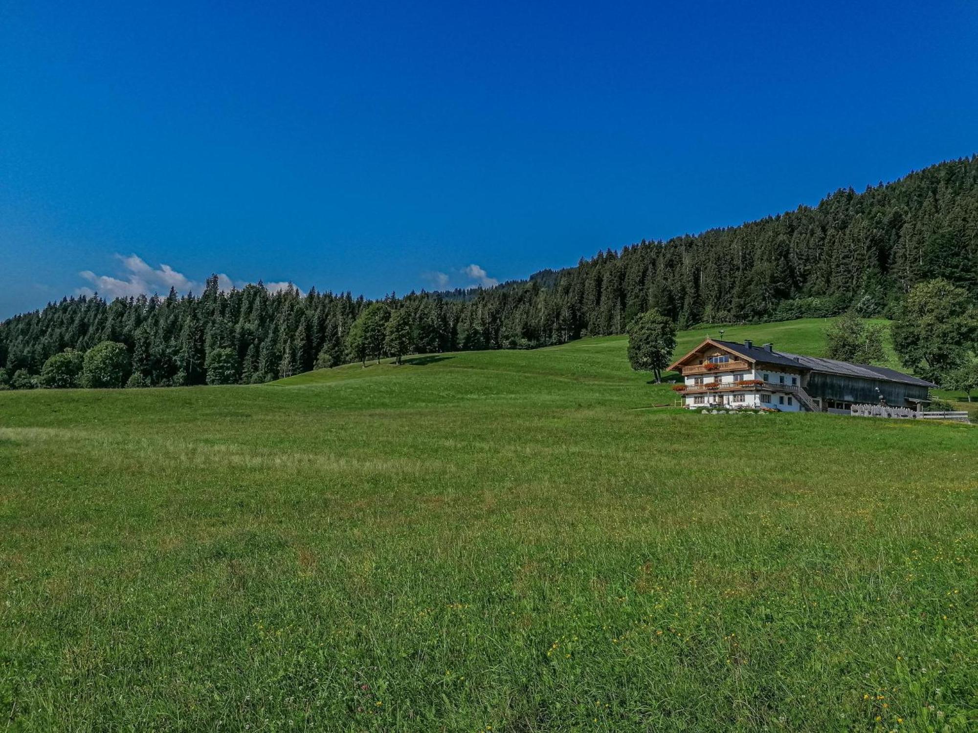 Apartmán Flicklhof Xl Hopfgarten im Brixental Exteriér fotografie