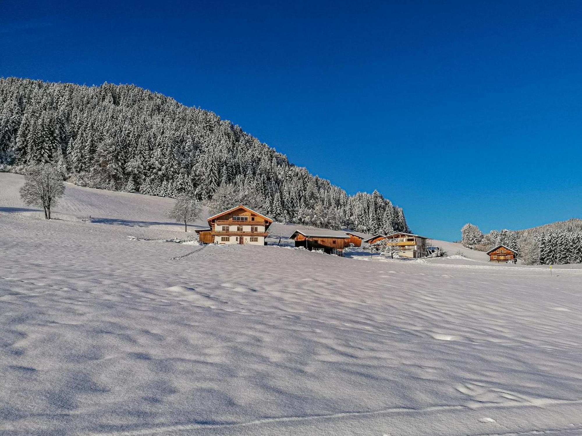 Apartmán Flicklhof Xl Hopfgarten im Brixental Exteriér fotografie