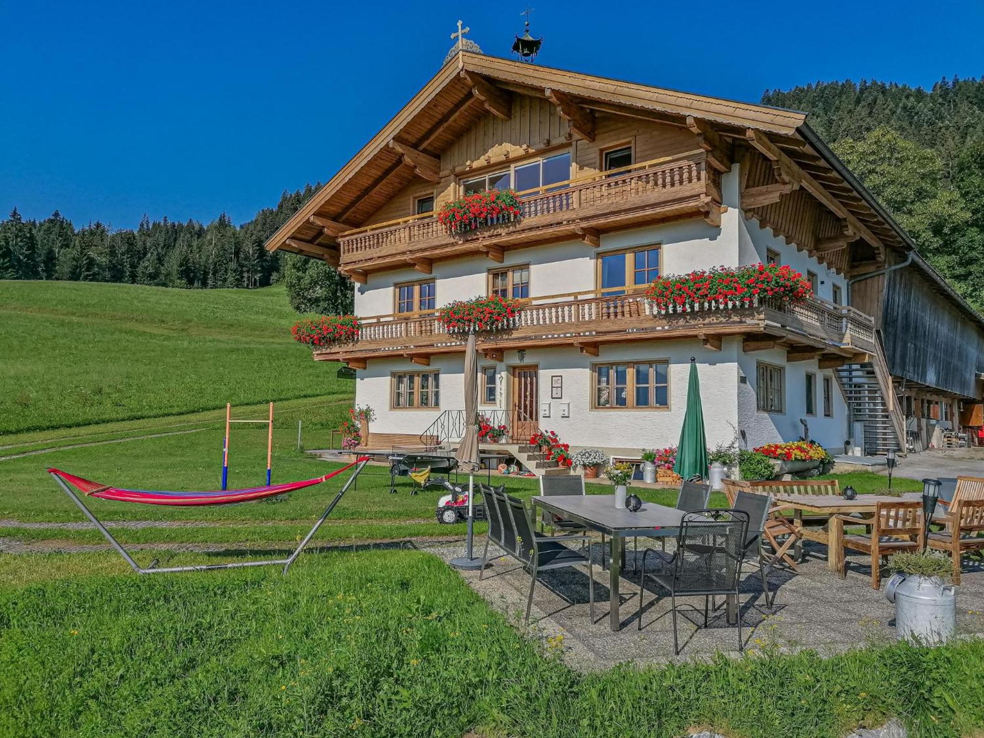 Apartmán Flicklhof Xl Hopfgarten im Brixental Exteriér fotografie