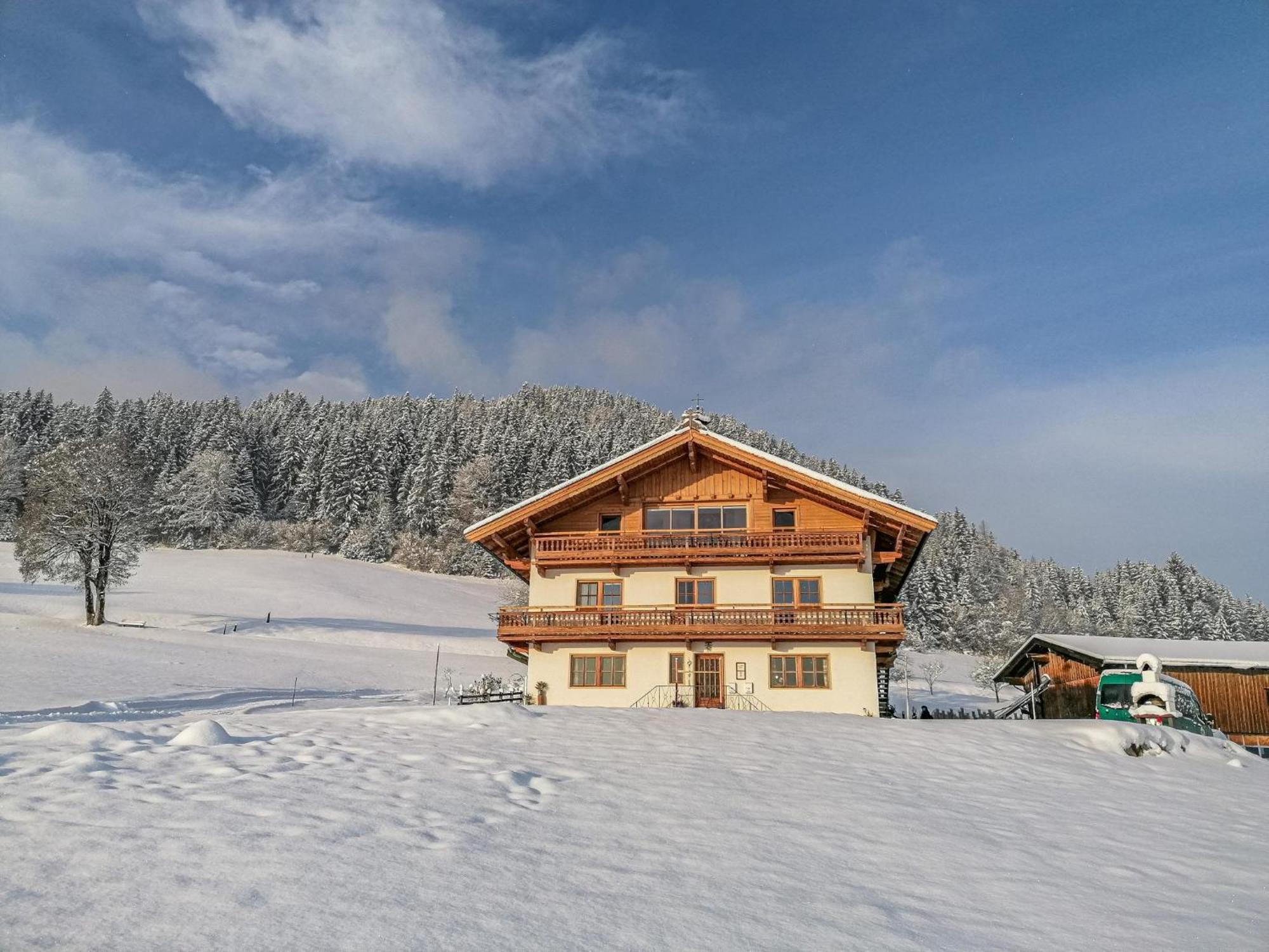 Apartmán Flicklhof Xl Hopfgarten im Brixental Exteriér fotografie