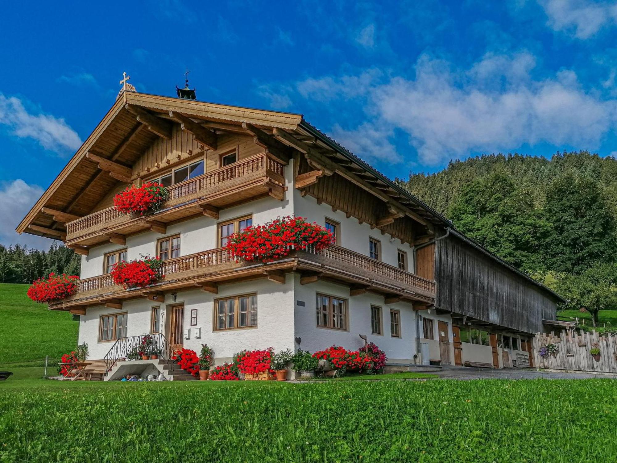 Apartmán Flicklhof Xl Hopfgarten im Brixental Exteriér fotografie